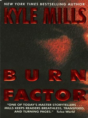 cover image of Burn Factor